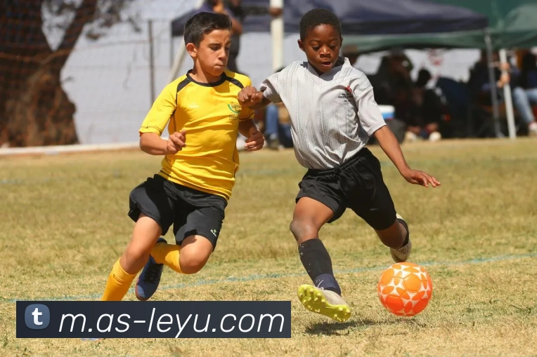 多媒体互动体验